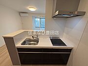 同型完成モデル