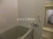 同型タイプ