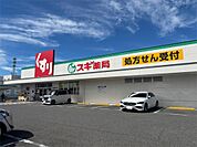 スギ薬局 久保田店（520m）