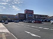 カネスエ 四日市フレスポ店（865m）