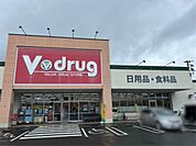 V・drug 一宮公園通店（806m）