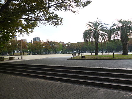 白川公園(530m)