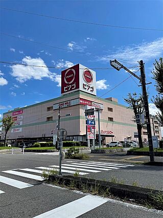 ピアゴパワー ...