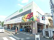 コープとうきょう　下連雀 700m
