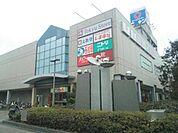 湘南とうきゅう 787m