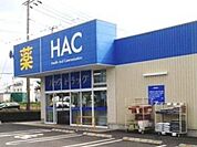 ハックドラッグ藤沢遠藤店 1069m