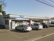スリーエフ西菖蒲沢店 1108m