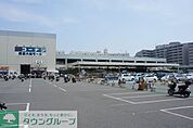 コーナン鎌倉大船モール 徒歩8分。ショッピングセンター 590m