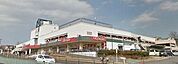 Olympic藤沢店 1212m