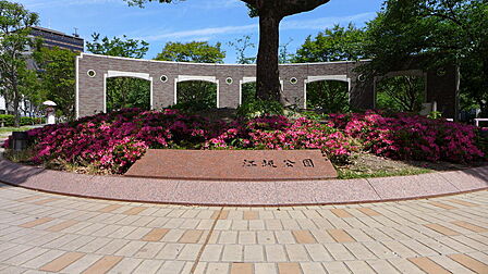 ●江坂公園　徒歩9分