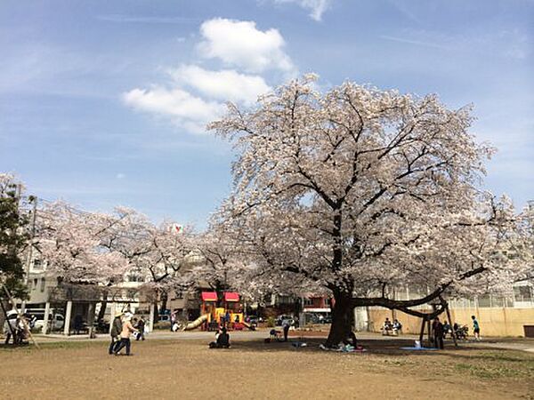 パークアクシス滝野川ラ　ブリーズ ｜東京都北区滝野川6丁目(賃貸マンション1LDK・8階・46.83㎡)の写真 その22