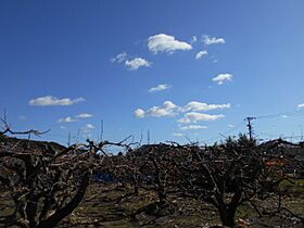 静岡県浜松市浜名区細江町三和（賃貸アパート1LDK・1階・42.97㎡） その19