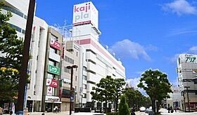 静岡県浜松市中央区海老塚1丁目（賃貸マンション1LDK・15階・48.81㎡） その28