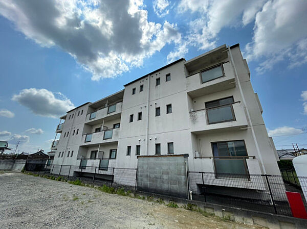 静岡県浜松市中央区安新町(賃貸マンション2DK・3階・55.00㎡)の写真 その1