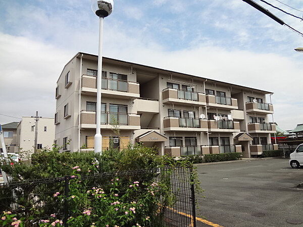 静岡県浜松市中央区安新町(賃貸マンション2DK・3階・55.00㎡)の写真 その25