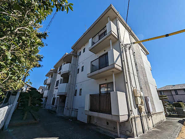 静岡県浜松市中央区楊子町(賃貸マンション2LDK・3階・55.70㎡)の写真 その27