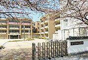 小学校「野洲市立野洲小学校まで784m」