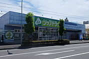 ドラッグストア 「ジップドラッグ中主店まで249m」
