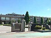 小学校「守山市立河西小学校まで248m」