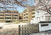 小学校「野洲市立野洲小学校まで535m」