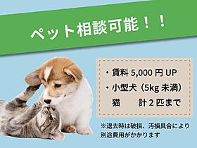 ミユキハイツ市毛 203 ｜ 茨城県ひたちなか市大字市毛（賃貸マンション1K・2階・19.83㎡） その15