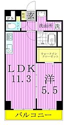 While 椿 4階