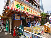 どらっぐぱぱす 梅島駅前店（427m）
