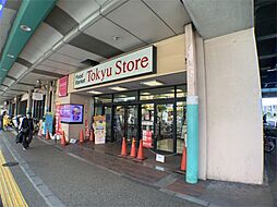 ザ・ダイソー 東急ストア綾瀬店（331m）