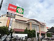 ライフ 江北駅前店（382m）