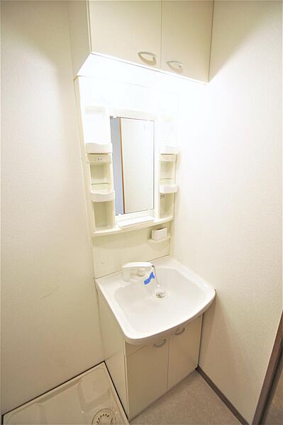 画像18:シャワー付き洗面化粧台は人気の設備です。身だしなみを整える際に便利です。