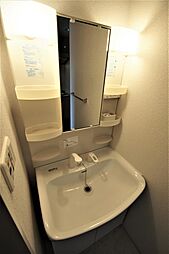 人気の洗面台。こだわりの人気条件の一つです。