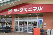 ヨークベニマル谷田部店