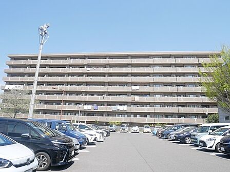 平面駐車場