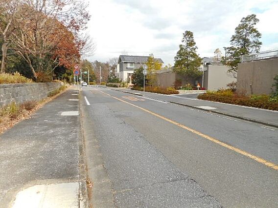前面道路