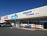 周辺：ウエルシア牛久上柏田店（800m）
