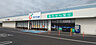 周辺：カワチ薬品 牛久田宮店（550m）