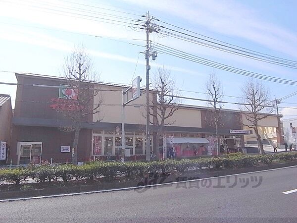 京都府京都市北区紫野北舟岡町(賃貸マンション1K・1階・19.87㎡)の写真 その20