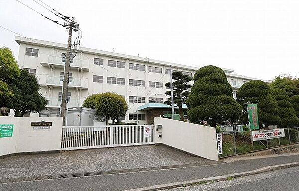 周辺：萩ヶ丘小学校(800m)