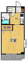 グレイス下富野 1階/-