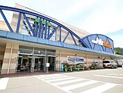 MrMAX  宗像店（MrMAX宗像ショッピングセンター）（1170m）
