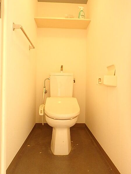 画像11:トイレの上部に棚があります