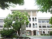 小学校「長浜市立長浜小学校まで915m」