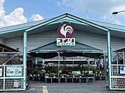その他「コメリハード＆グリーン山東店まで325m」