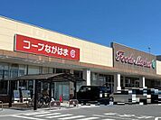 その他「コープながはま店まで1153m」