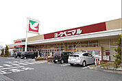 ヨークベニマル 日立会瀬店（482m）