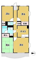 シャングリア 3DKの間取図画像