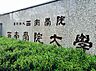 周辺：私立西南学院大学（537m）