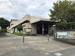 プランドールN