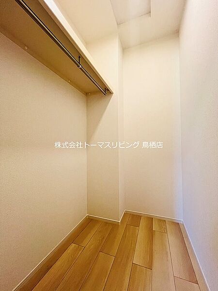 マジョリティ