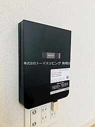 マジョリティ